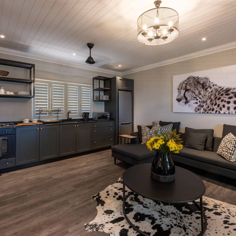 modern african themed lounge and kitchen with the image of a cheetah on the wall