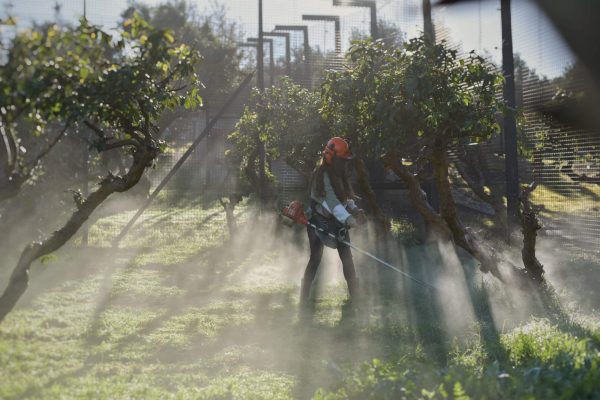a young girl weed eating in an enclosed caged area