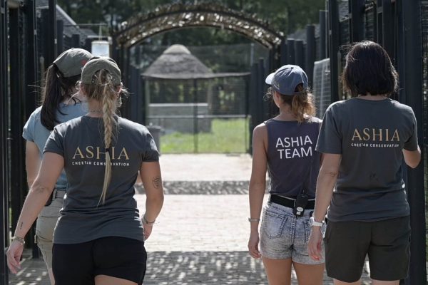 a group of volunteers wearing Ashia t-shirts walking along a path